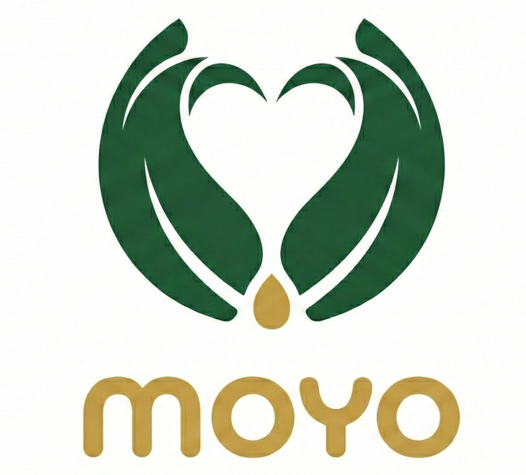 xn--bien-tre-o1a.moyoafrique.com